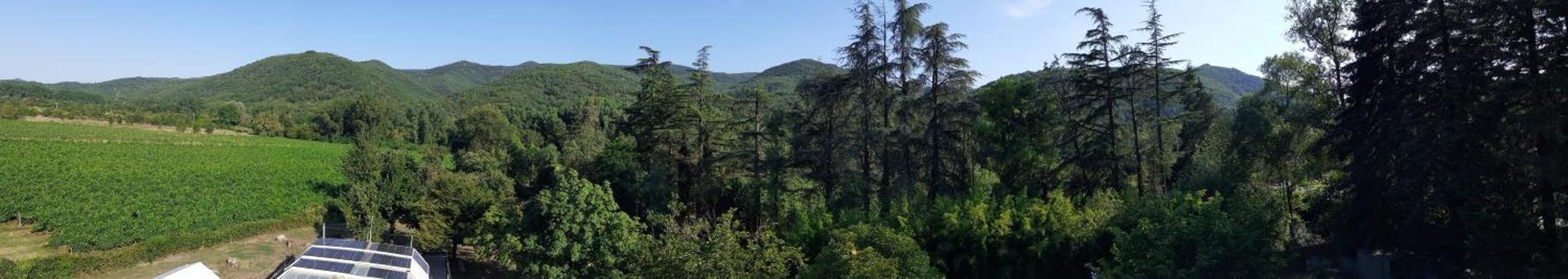 Villa Les Martinets-Piscine-Jacuzzi-Voie Verte-Gorges D'Heric-Massif Du Caroux Mons Olargues 34600 Le Poujol-sur-Orb المظهر الخارجي الصورة