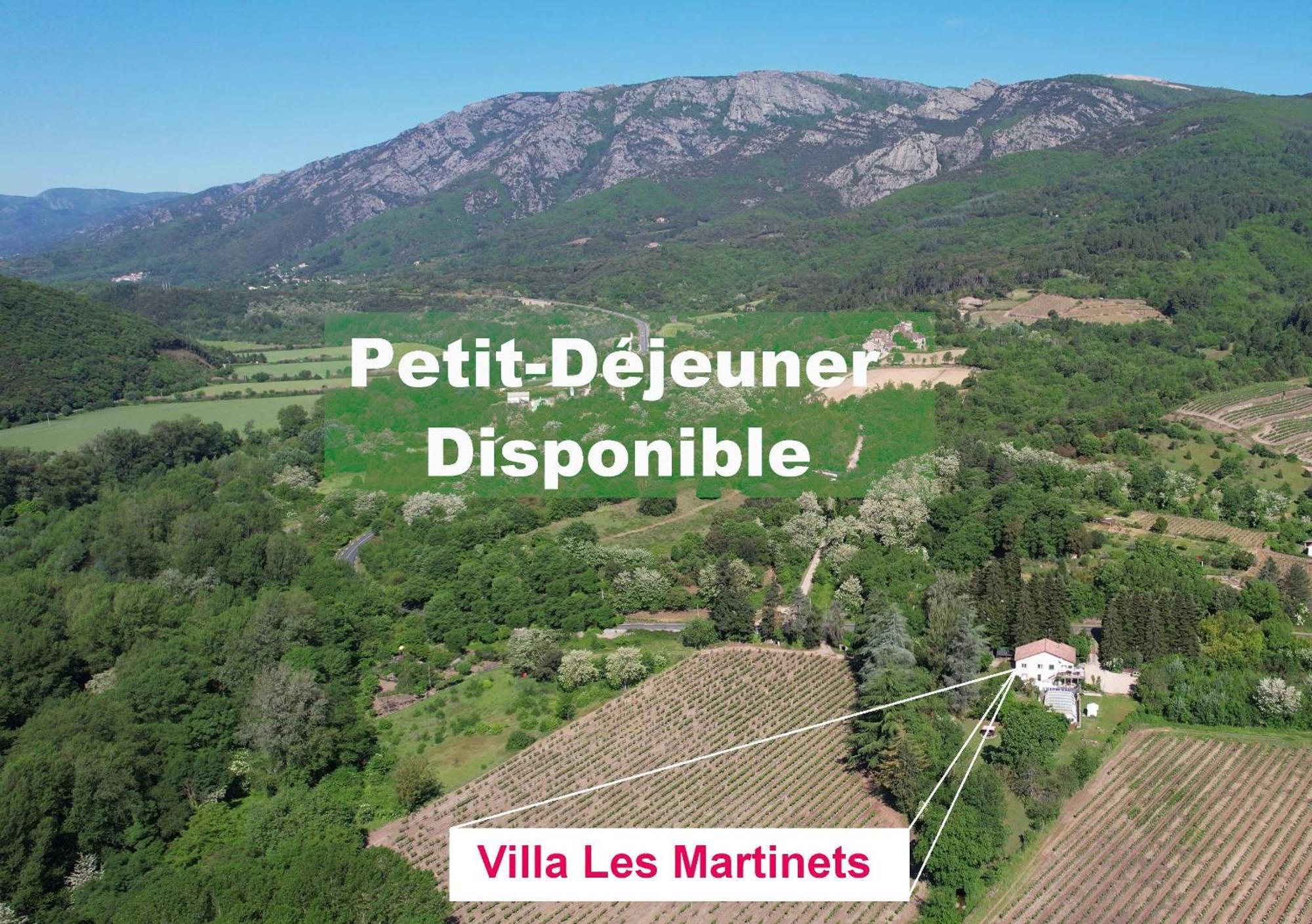 Villa Les Martinets-Piscine-Jacuzzi-Voie Verte-Gorges D'Heric-Massif Du Caroux Mons Olargues 34600 Le Poujol-sur-Orb المظهر الخارجي الصورة